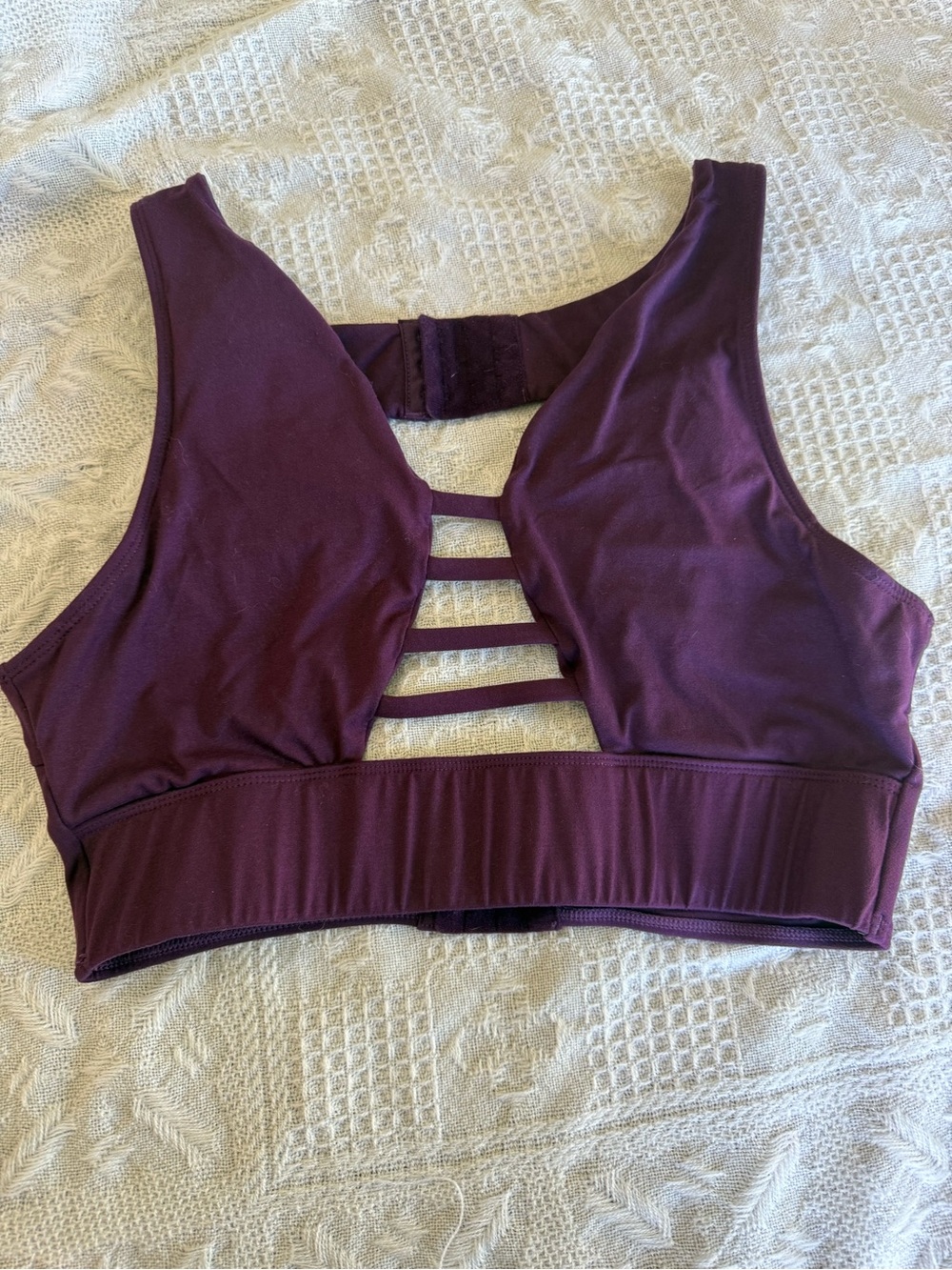 Creatures of XIX (XIX Brand) Plum Strappy Sports Bra- Large